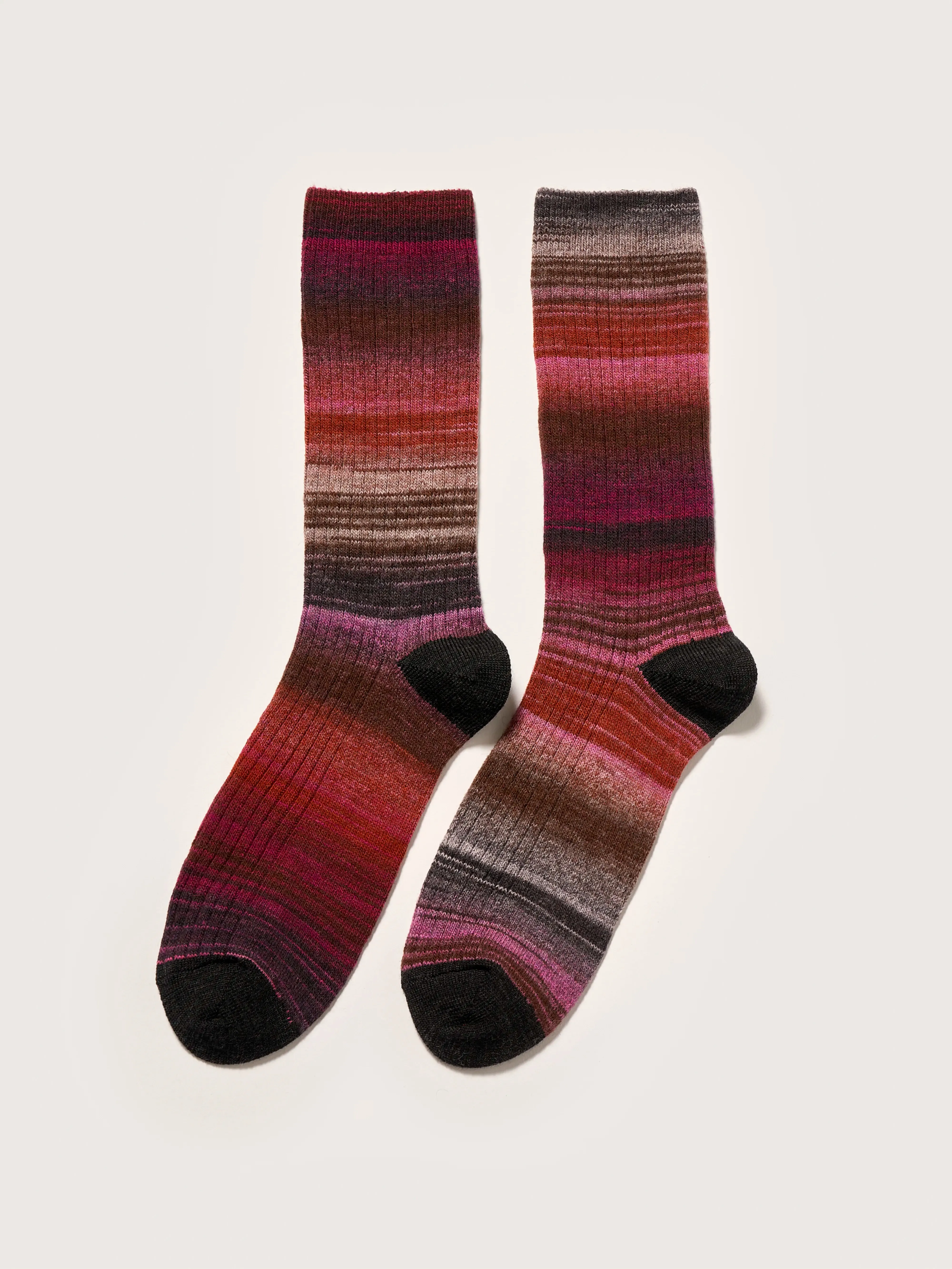 Baque rib-knit socks (242 / W / COMBO D)