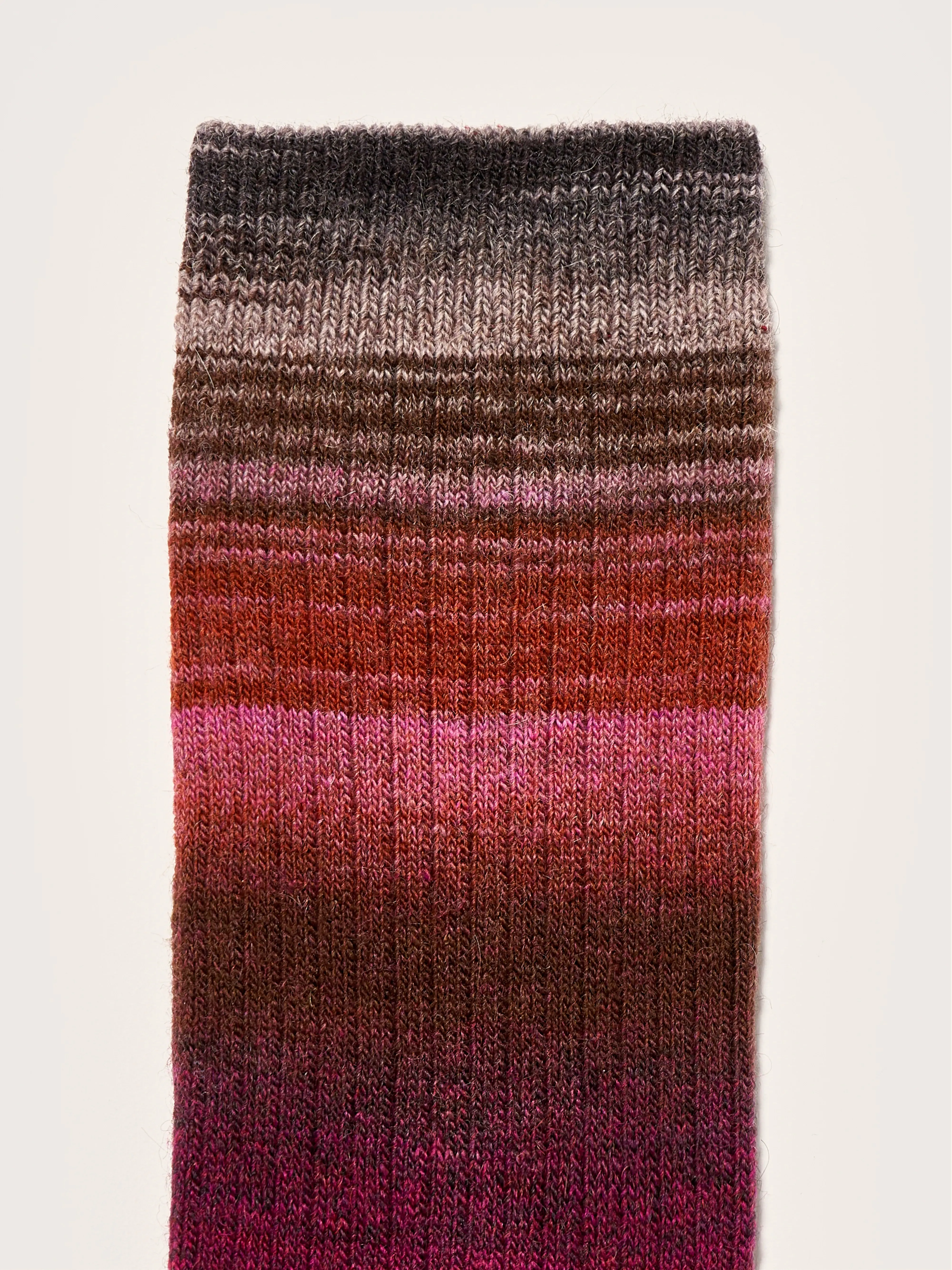 Baque rib-knit socks (242 / W / COMBO D)