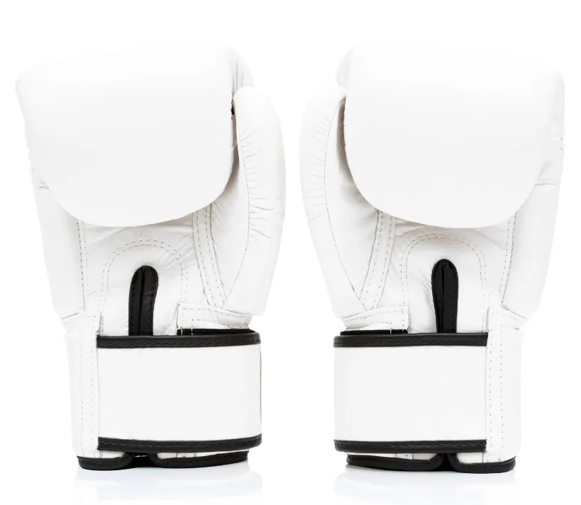 Fairtex BGV1 Universal Gloves